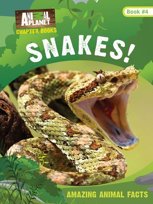 cover image of Snakes! (Animal Planet Chapter Books #3)
